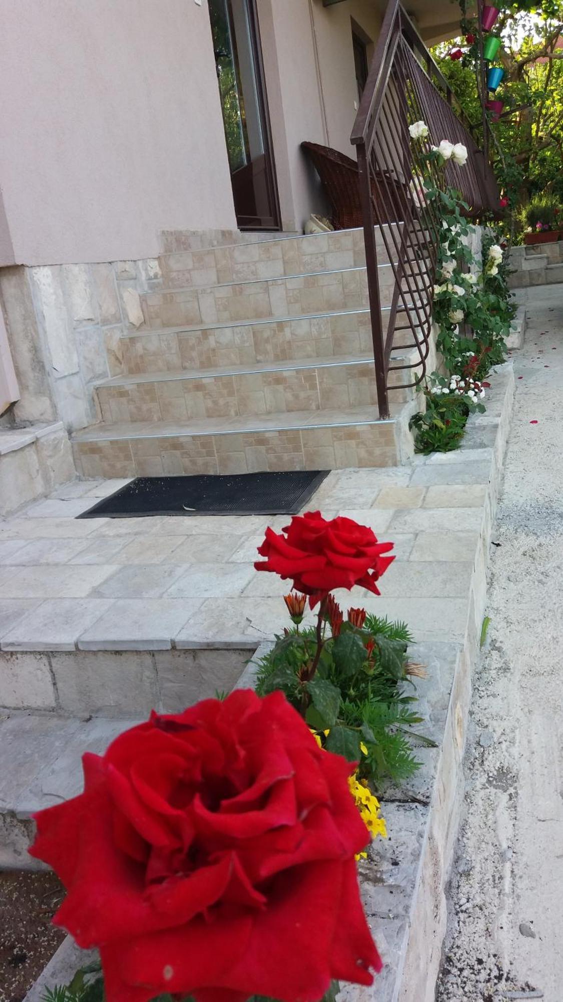 טיווט Apartments Iva מראה חיצוני תמונה