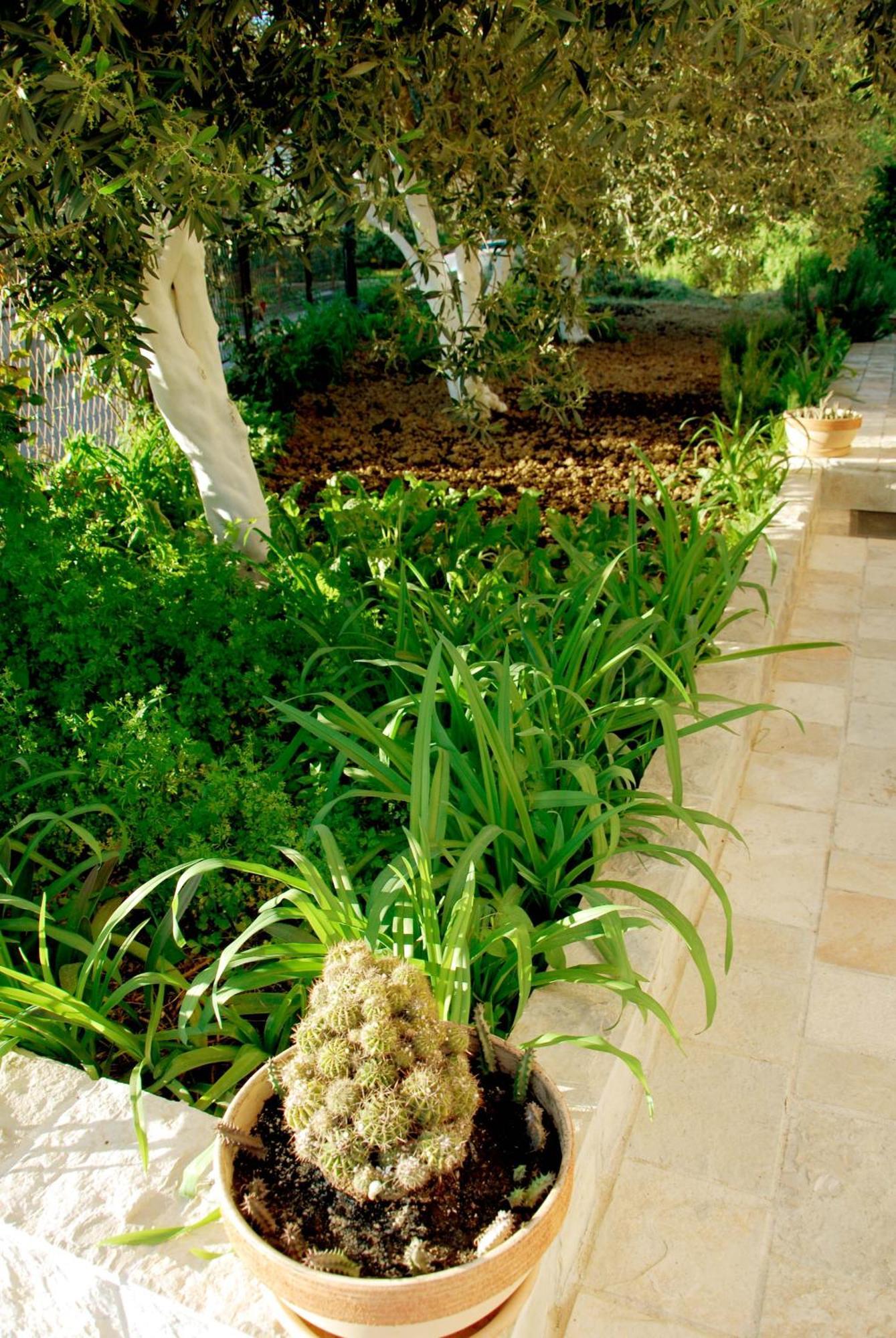 טיווט Apartments Iva מראה חיצוני תמונה