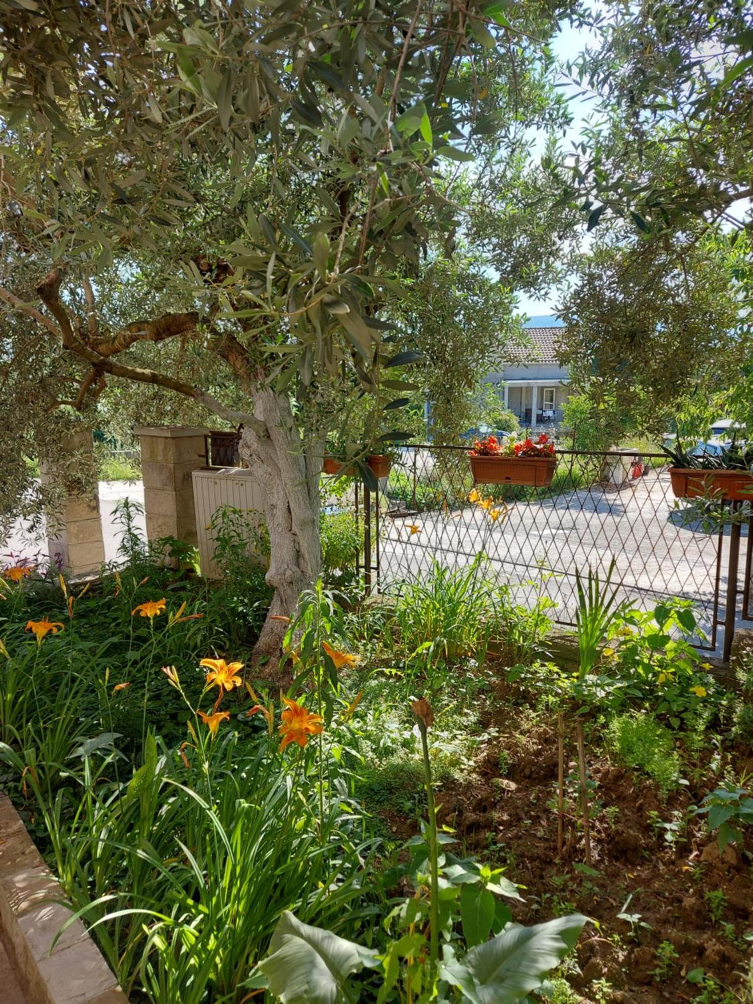 טיווט Apartments Iva מראה חיצוני תמונה