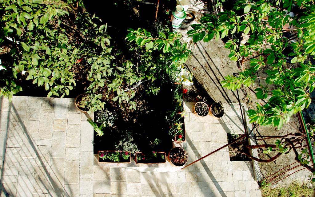 טיווט Apartments Iva מראה חיצוני תמונה