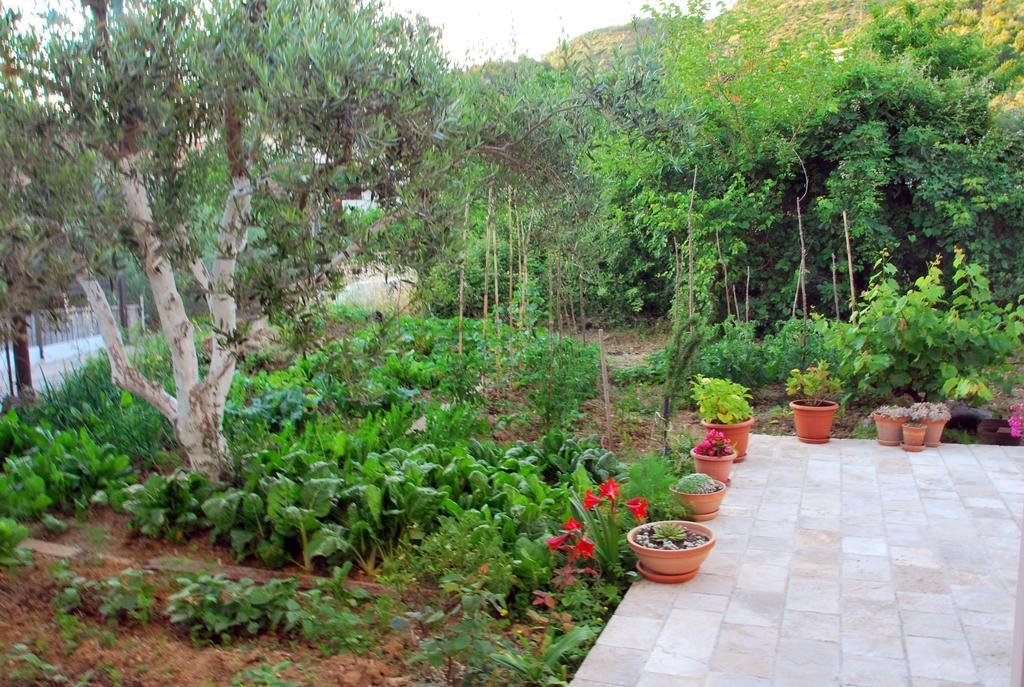 טיווט Apartments Iva מראה חיצוני תמונה